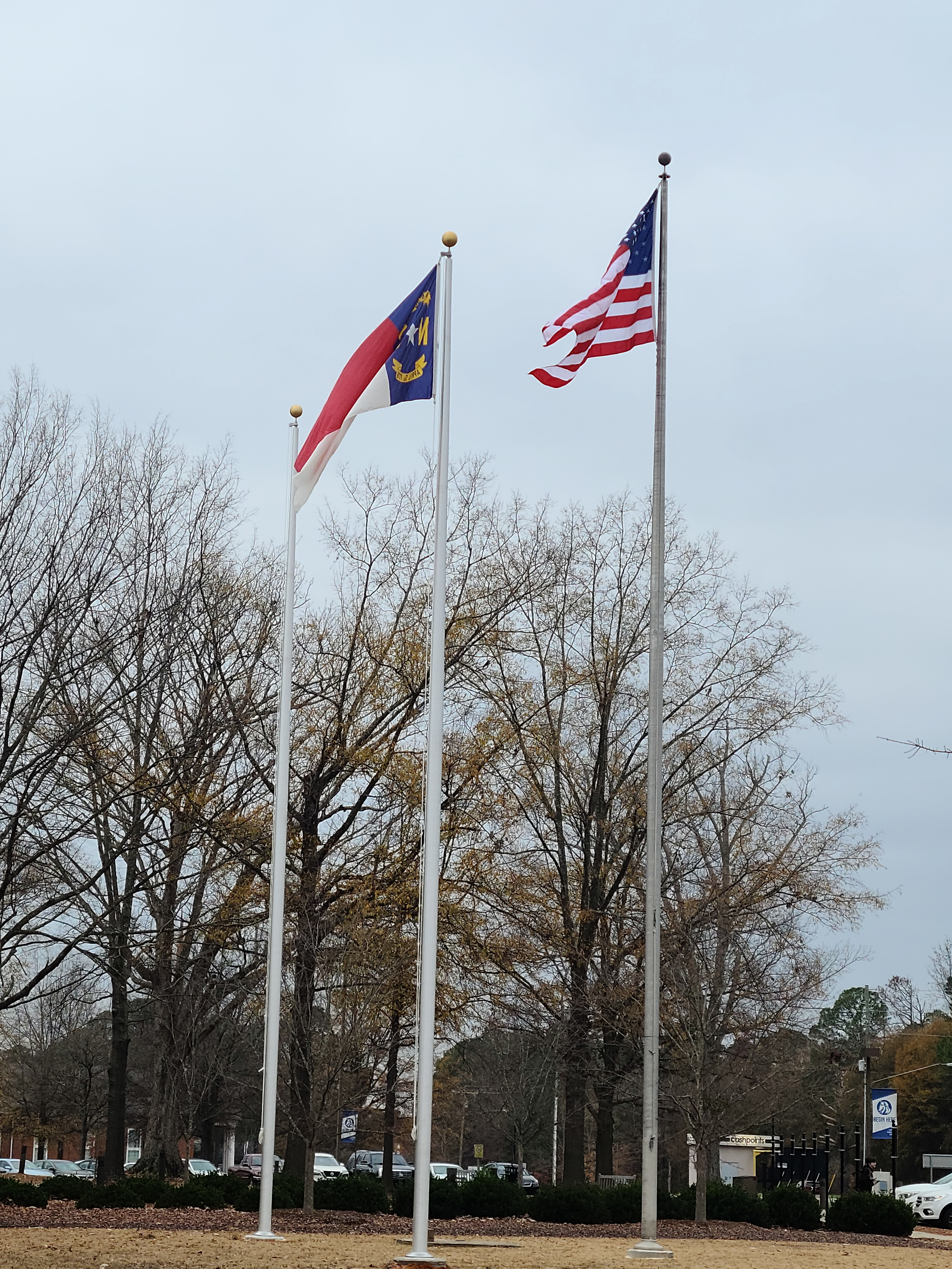 Completed Flagpole Project